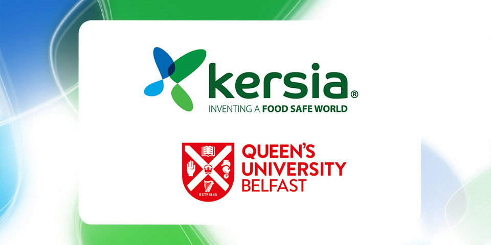article_queen’s university belfast