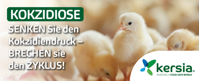 News DE_Coccidiosis Poultry_DE