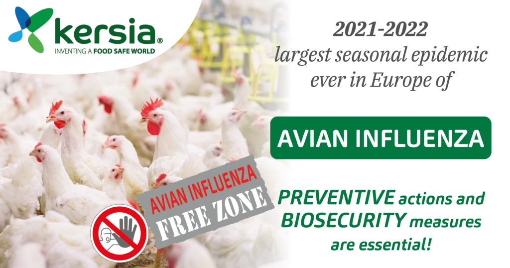 20212022 largest seasonal epidemic ever in Europe of Avian influenza