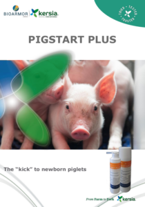 pigstart