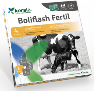 BOLIFLASH FERTIL: Support of the preparation of Oestrus and Reproduction