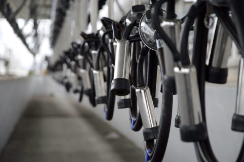 Milking Units Perspective