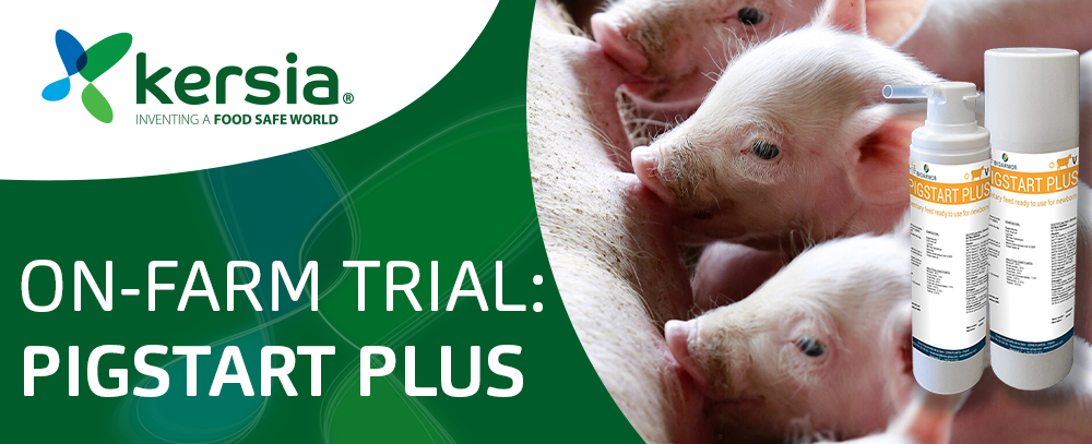 Boosting Piglet Health: Efficacy Evaluation of Pigstart Plus in Pre-weaning Nutrition