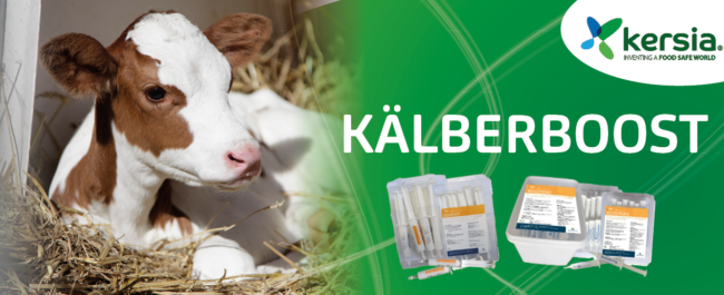 Newsroom Banner Kälberboost