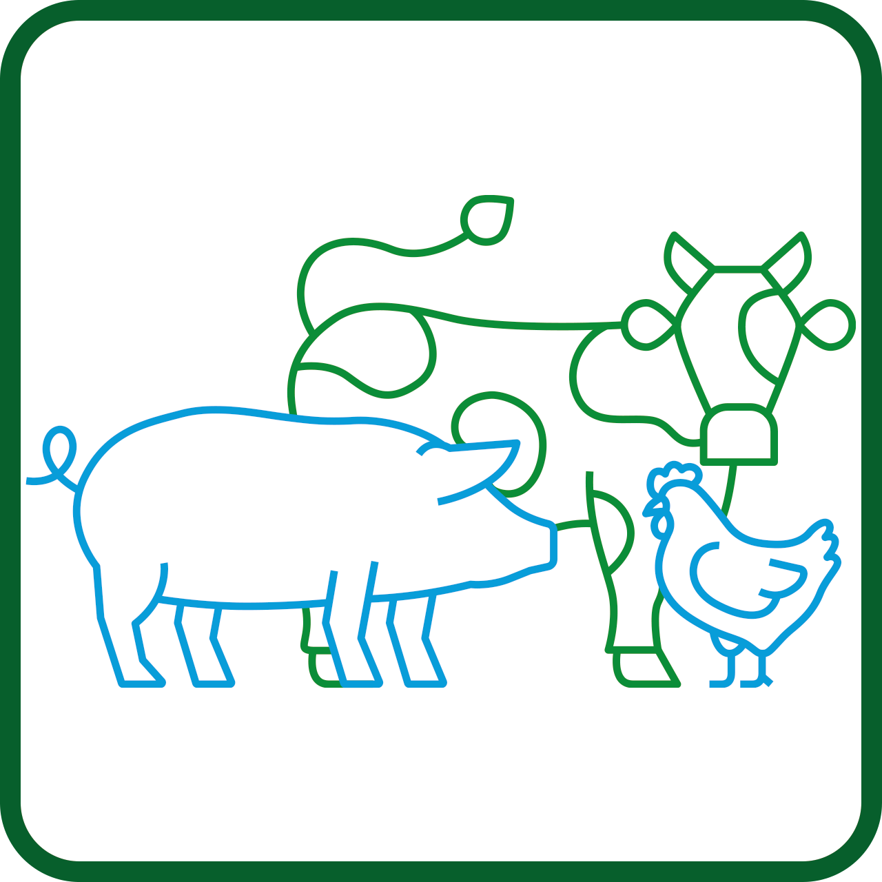 Farm