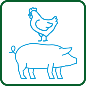 PIG & POULTRY FARM