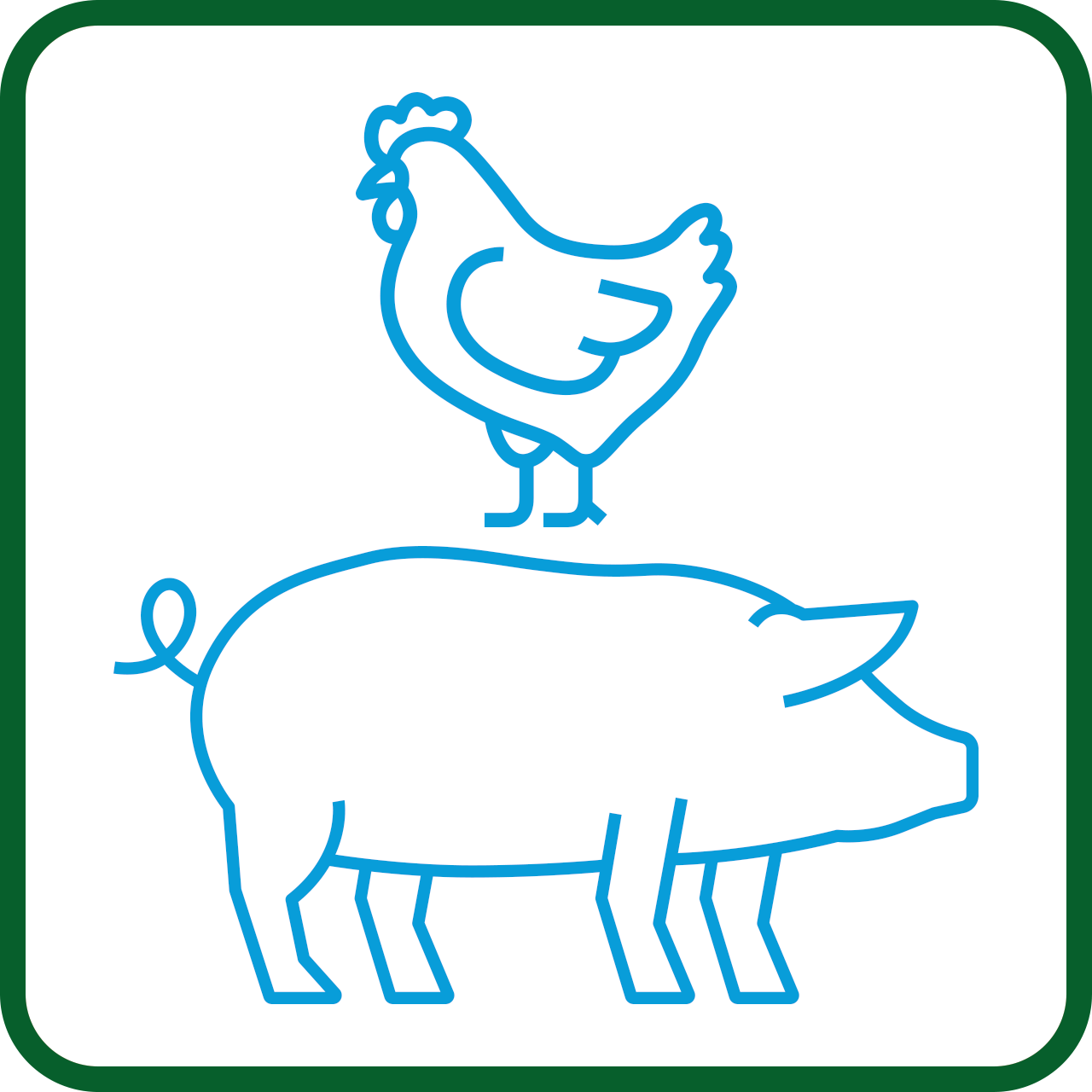 PIG & POULTRY FARM